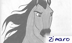 zimaro