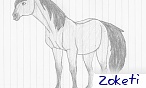 Zoketi