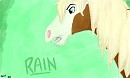 Headshot of Rain