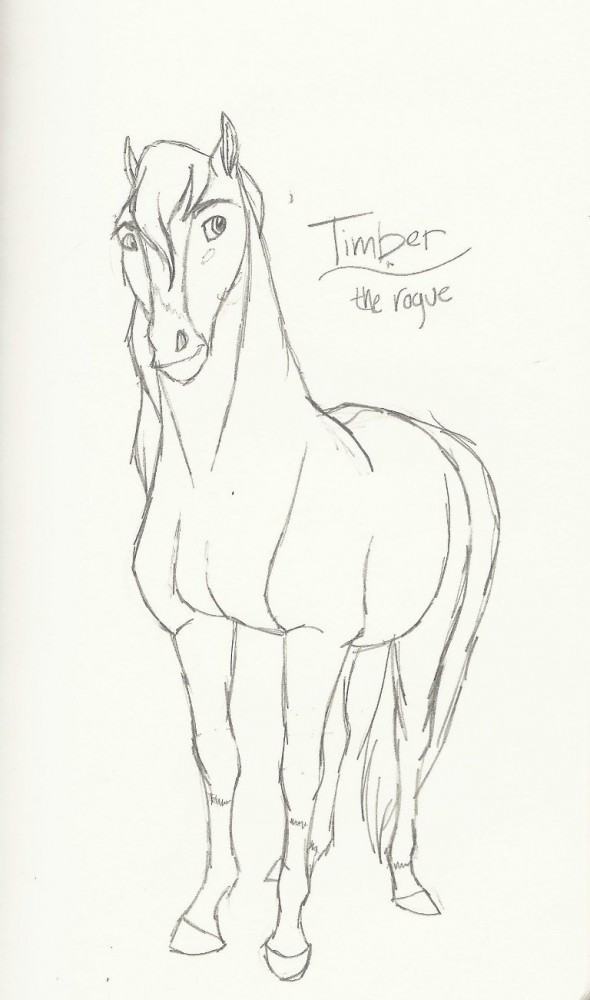 Timber sketch