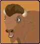 Buffalo