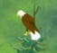 Spirit