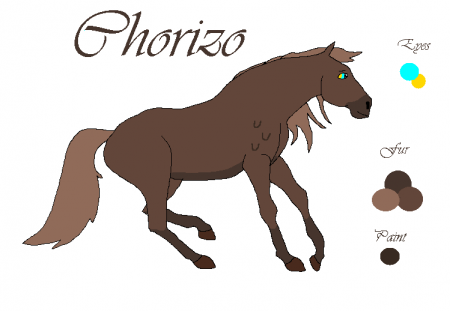 Detail Chorizo