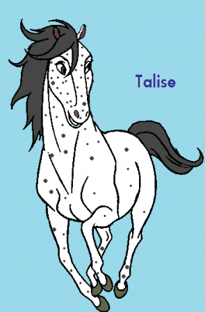 Detail Talise