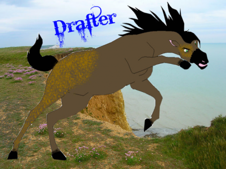 Detail Drafter
