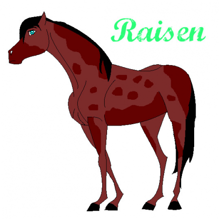 Detail Raisen