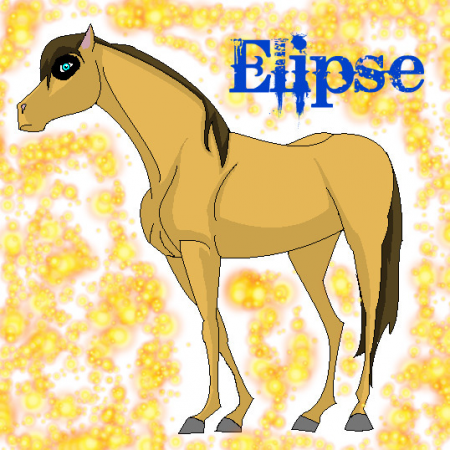 Detail Elipse