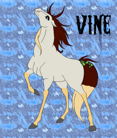 Detail Vine