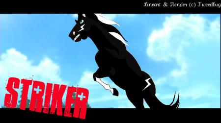 Detail Striker