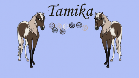 Detail Tamika
