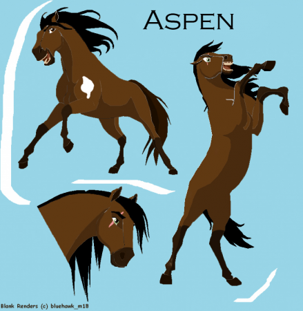 Detail Aspen.