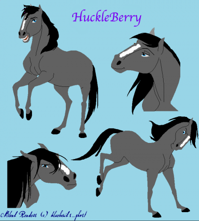Detail HuckleBerry 
