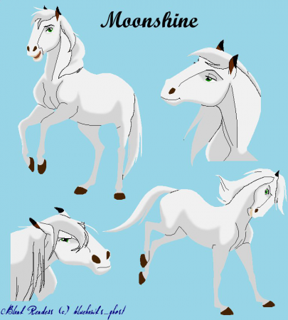 Detail Moonshine