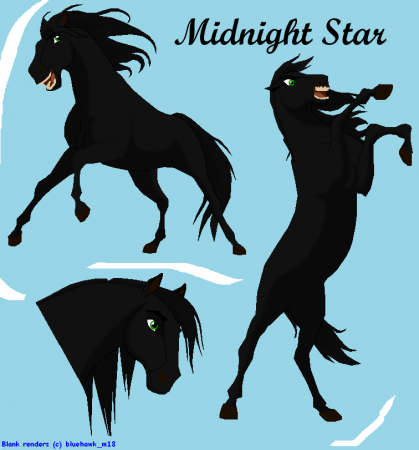 Detail Midnight Star