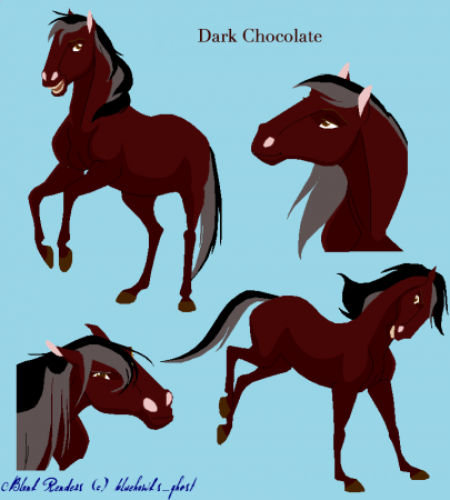 Detail Dark Chocolate