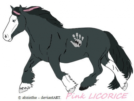 Detail Pink Licorice