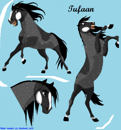Detail Tufaan