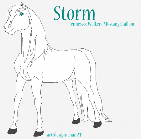 Detail Storm (AT)