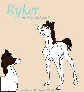 Detail Ryker