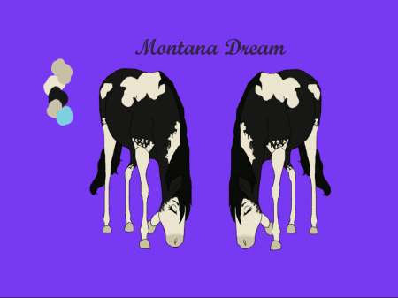 Detail Montana Dream
