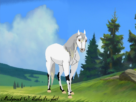 Detail Song Bird(KV)
