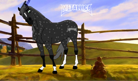 Detail Metallica