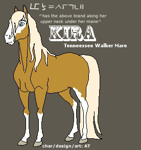 Detail Kira