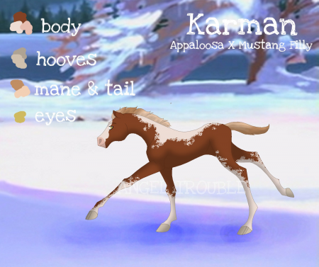 Detail Karman