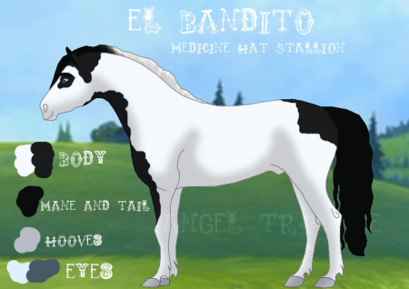 Detail El Bandito