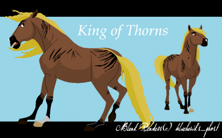 Detail King of Thorns