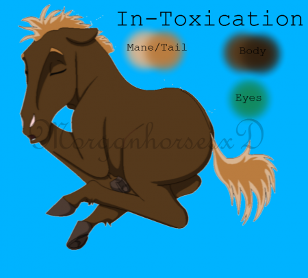 Detail In-Toxication