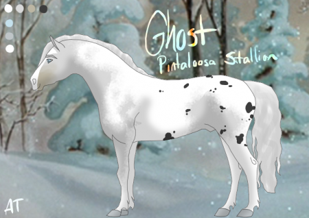 Detail Ghost