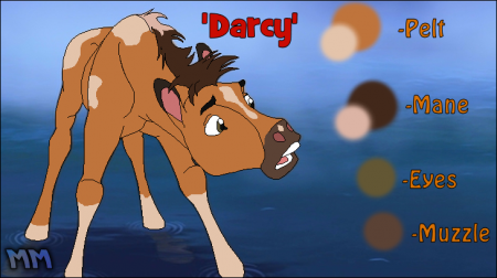 Detail Darcy