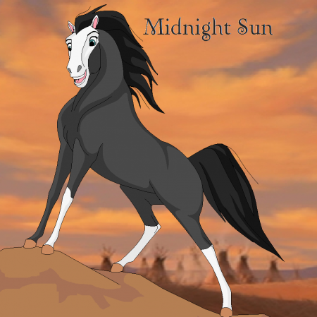 Detail Midnight Sun