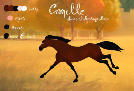 Detail Camille