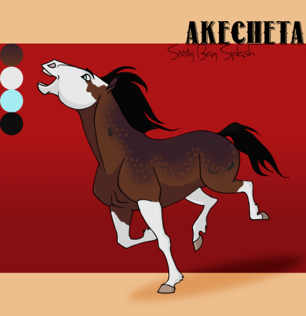 Detail Akecheta (CR)