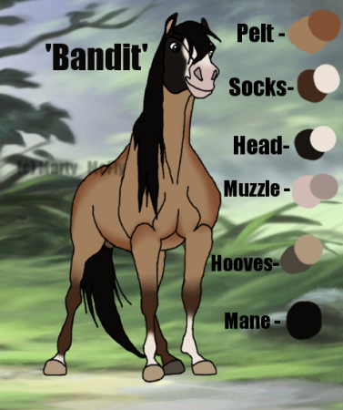 Detail Bandit (MM)