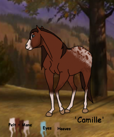 Detail Camille (MM)