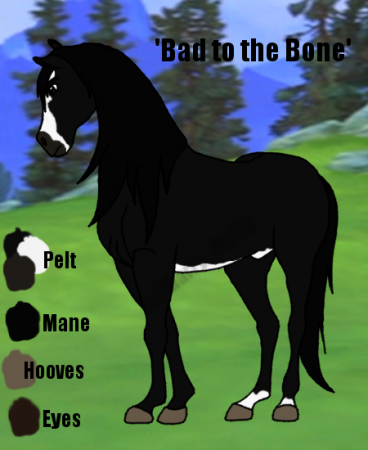 Detail Bad to the Bone