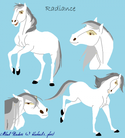 Detail Radience