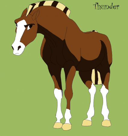 Detail Thunder (BaltoLuver)