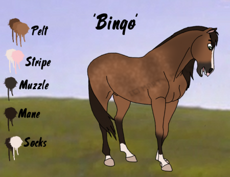 Detail Bingo