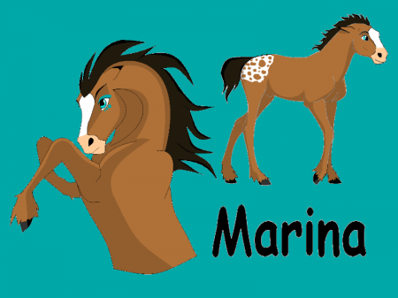 Detail Marina