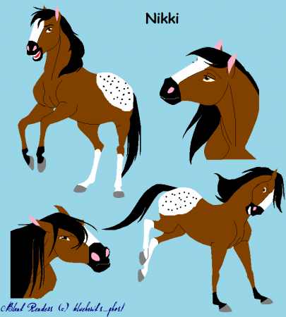Detail Nikki(Fursona)