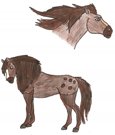 Detail Kima