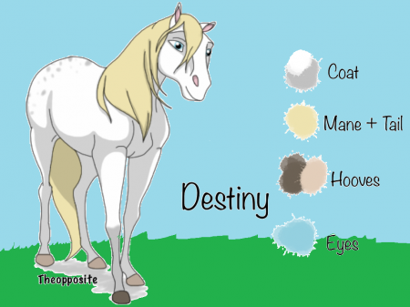 Detail Destiny(BS)
