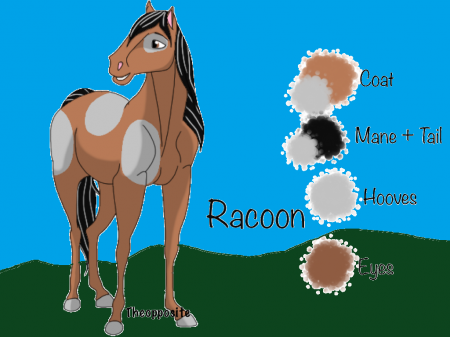 Detail Racoon *Fursona*
