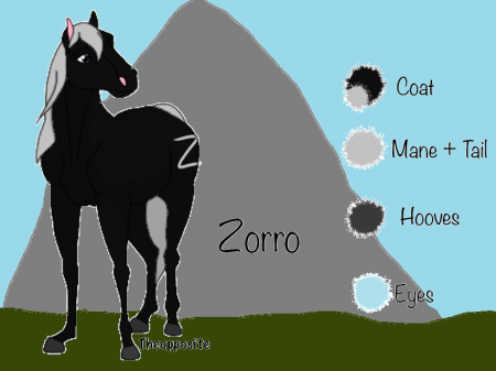 Detail Zorro (BS)