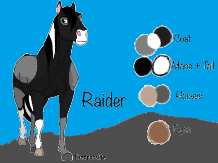 Detail Raider
