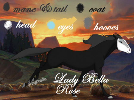 Detail Lady Bella Rose